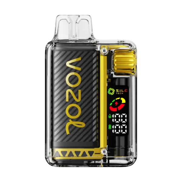 Vozol Vista 20000 Mango Ice