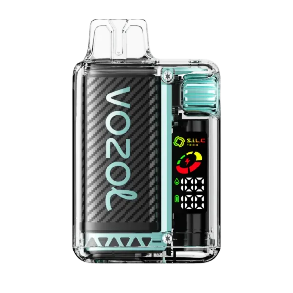 Vozol Vista 20000 Miami Mint